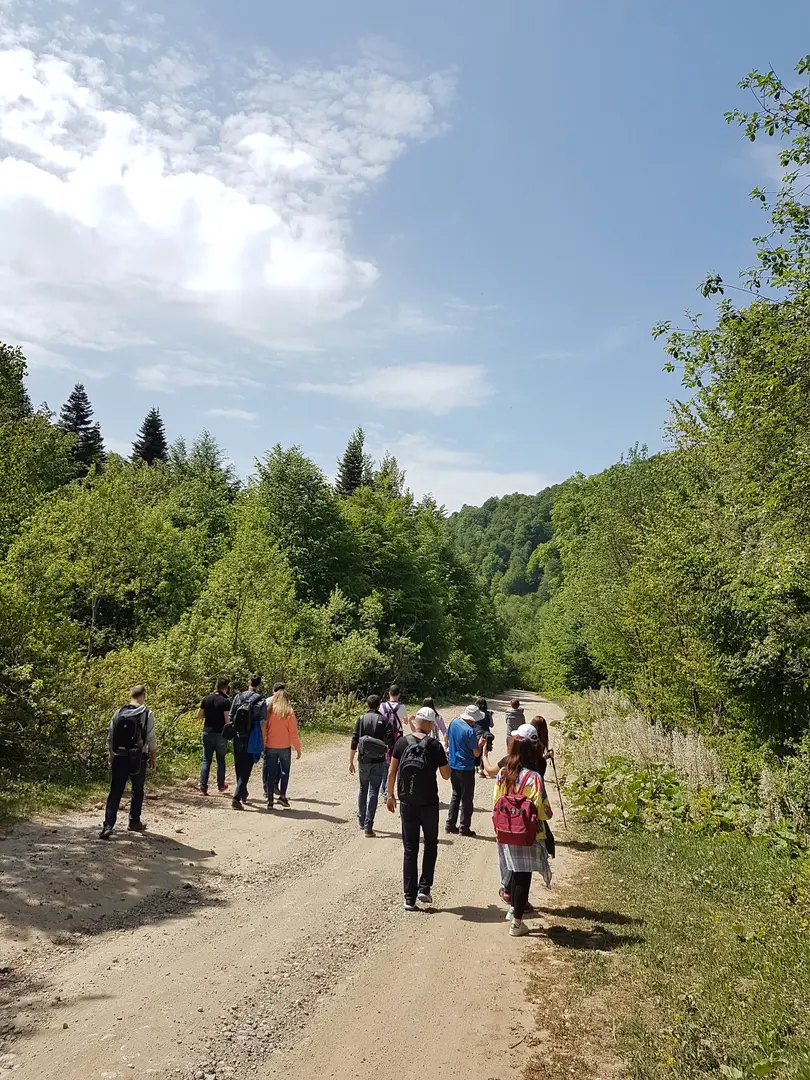 Molla yakup çayırı — Kocaeli — küçük resim 6