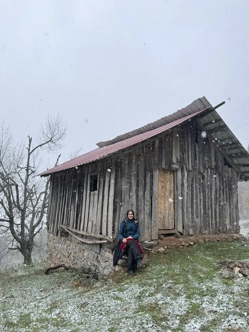Molla yakup çayırı