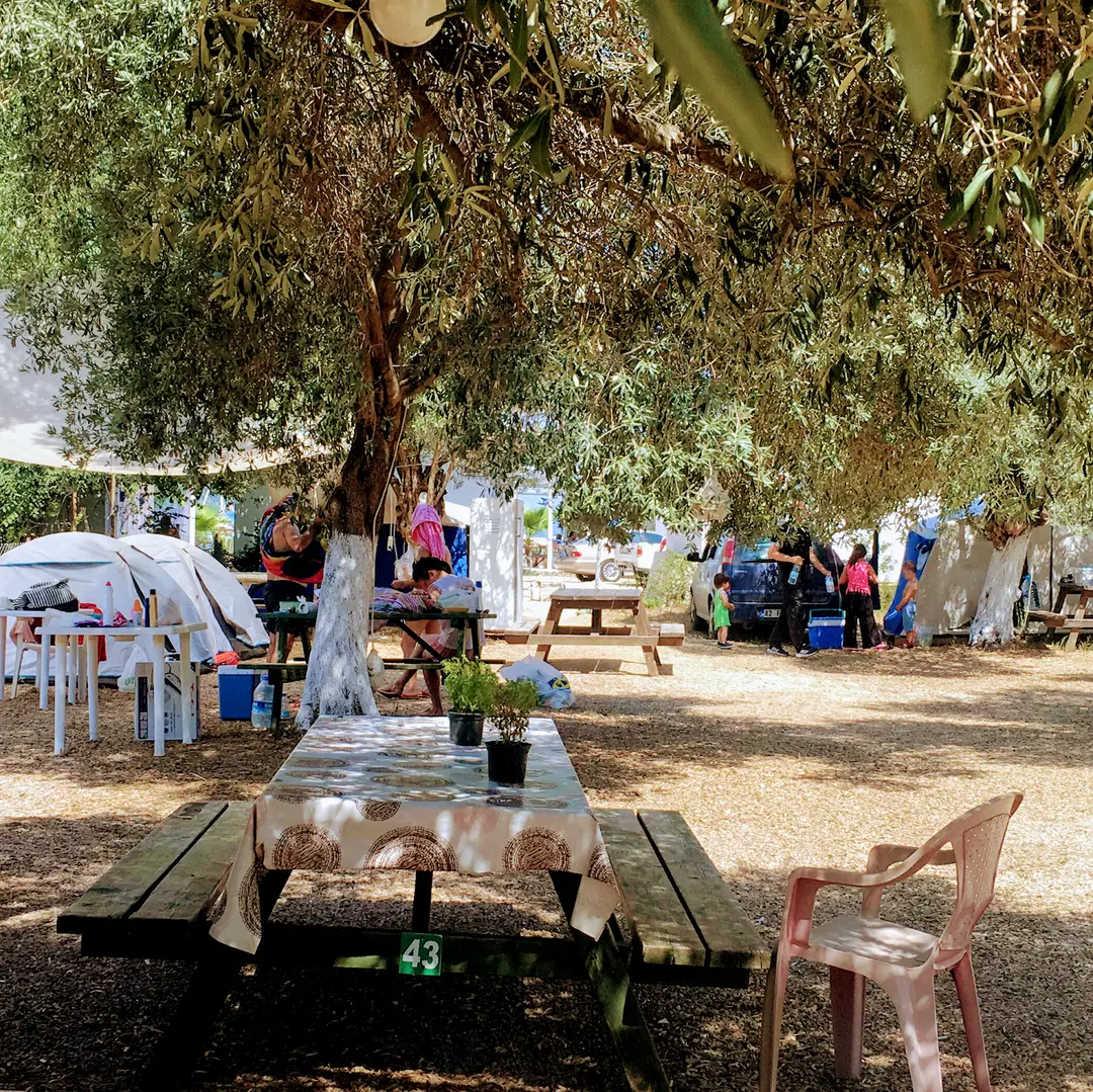 Akbük Eses Camping — Muğla — küçük resim 5