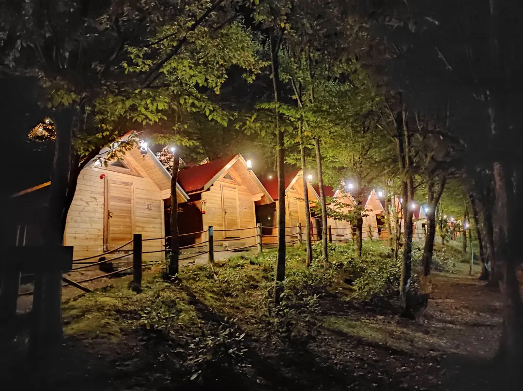 Diriliş Kampı-2