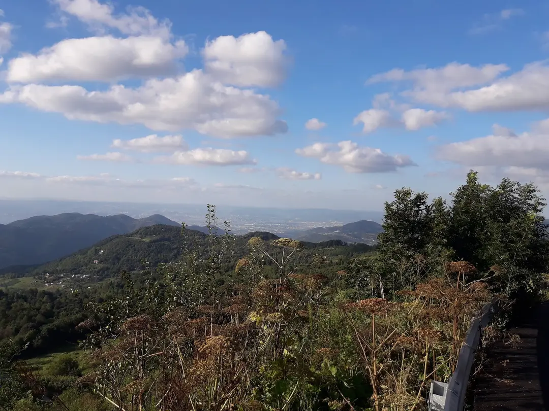Aytepepark Turistik Tesisleri — Kocaeli — küçük resim 6