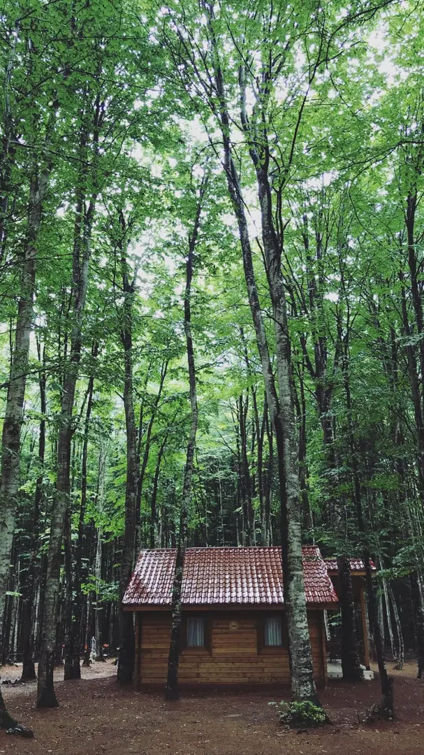 Eriklitepe Nature Park — Kocaeli — küçük resim 5