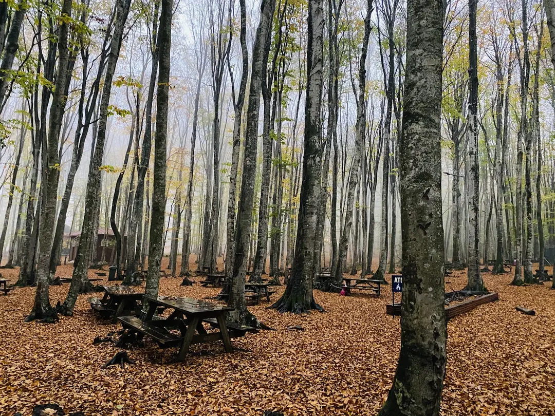 Eriklitepe Nature Park — Kocaeli — küçük resim 2