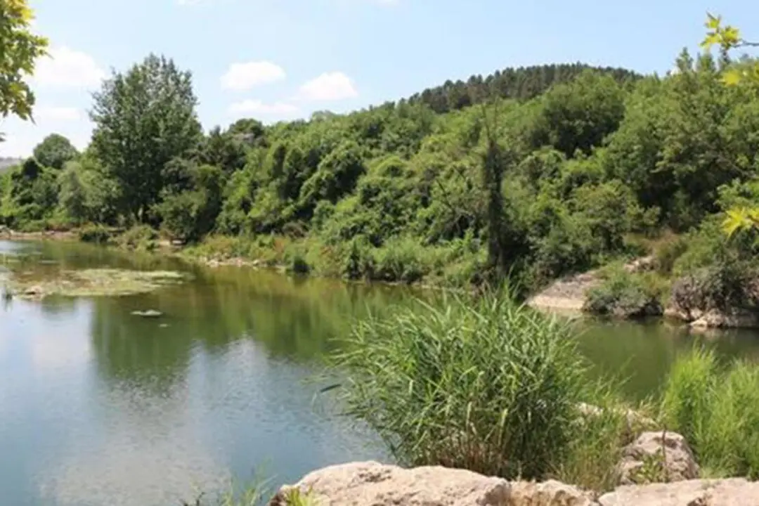Ballıkayalar Nature Park — Kocaeli — küçük resim 2