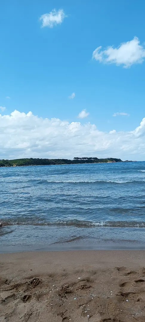 Parque de Caravanas Gratuito Bağırganlı — Kocaeli — küçük resim 6