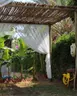 bambu kamp