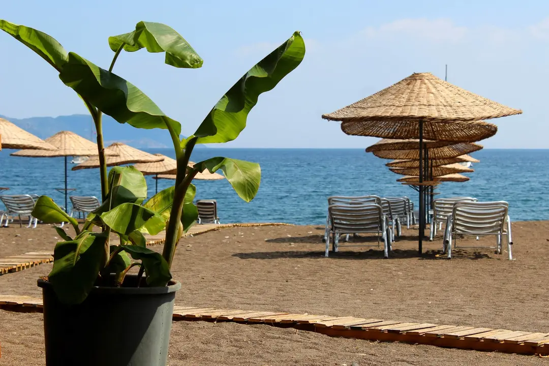 bamboo camp — Muğla — küçük resim 7