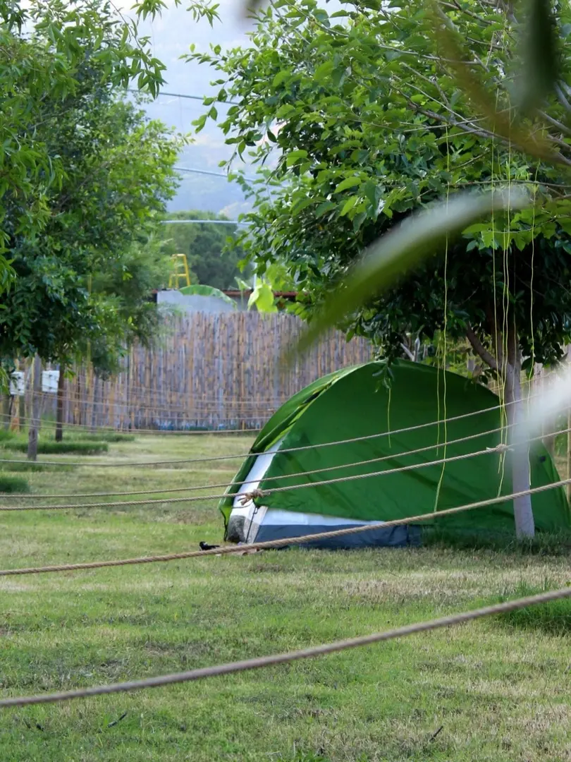 bamboo camp — Muğla — küçük resim 8