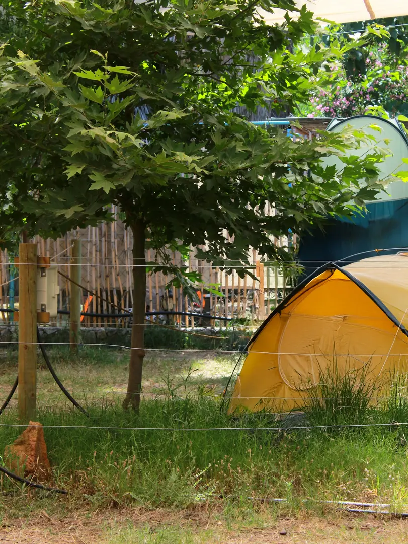 bamboo camp — Muğla — küçük resim 6