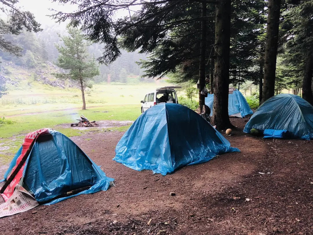 İnönü Yaylası Camping Area — Sakarya — küçük resim 5