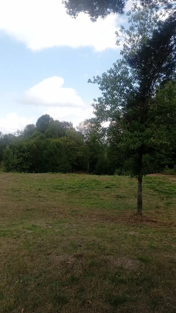 Área de camping y picnic Sakin — Kocaeli — küçük resim 7