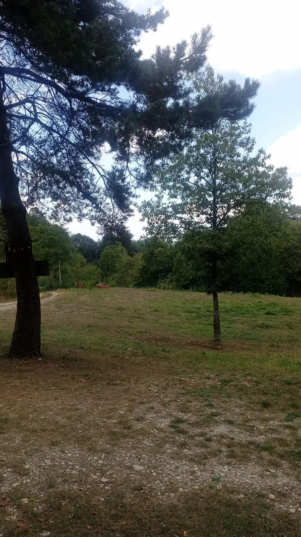 Área de camping y picnic Sakin — Kocaeli — küçük resim 8
