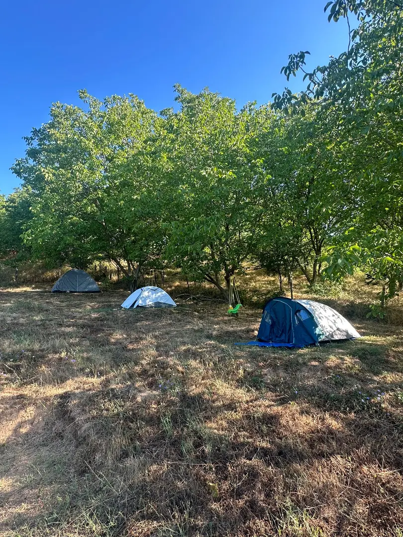 Vage Karavan Kampı — Kocaeli — küçük resim 2