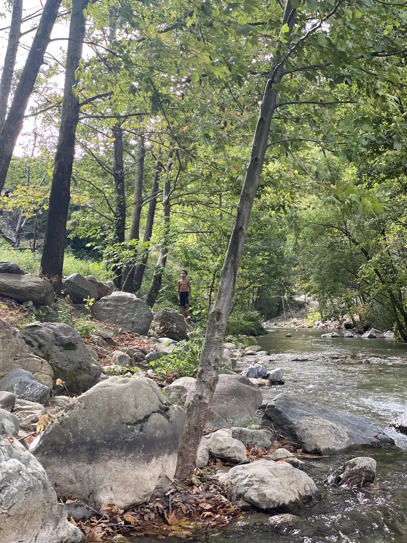Beşkayalar Camping — Kocaeli — küçük resim 8