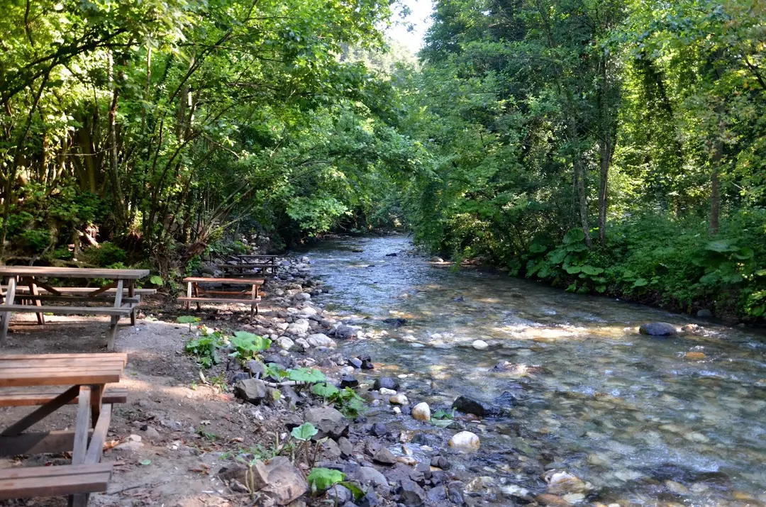 Beşkayalar Camping