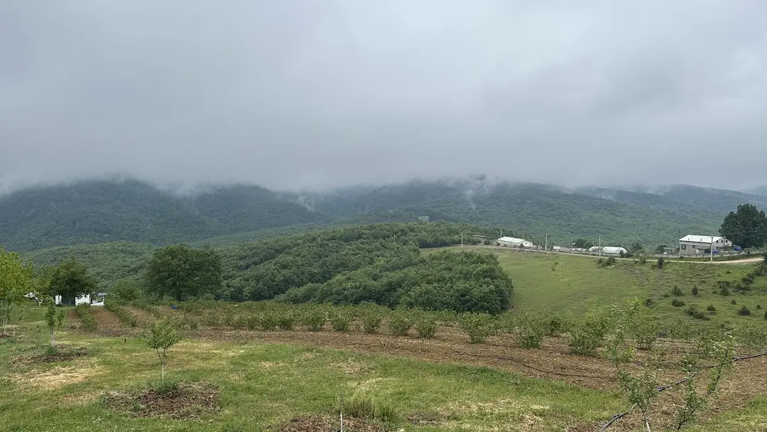 Aronya Karavan Park