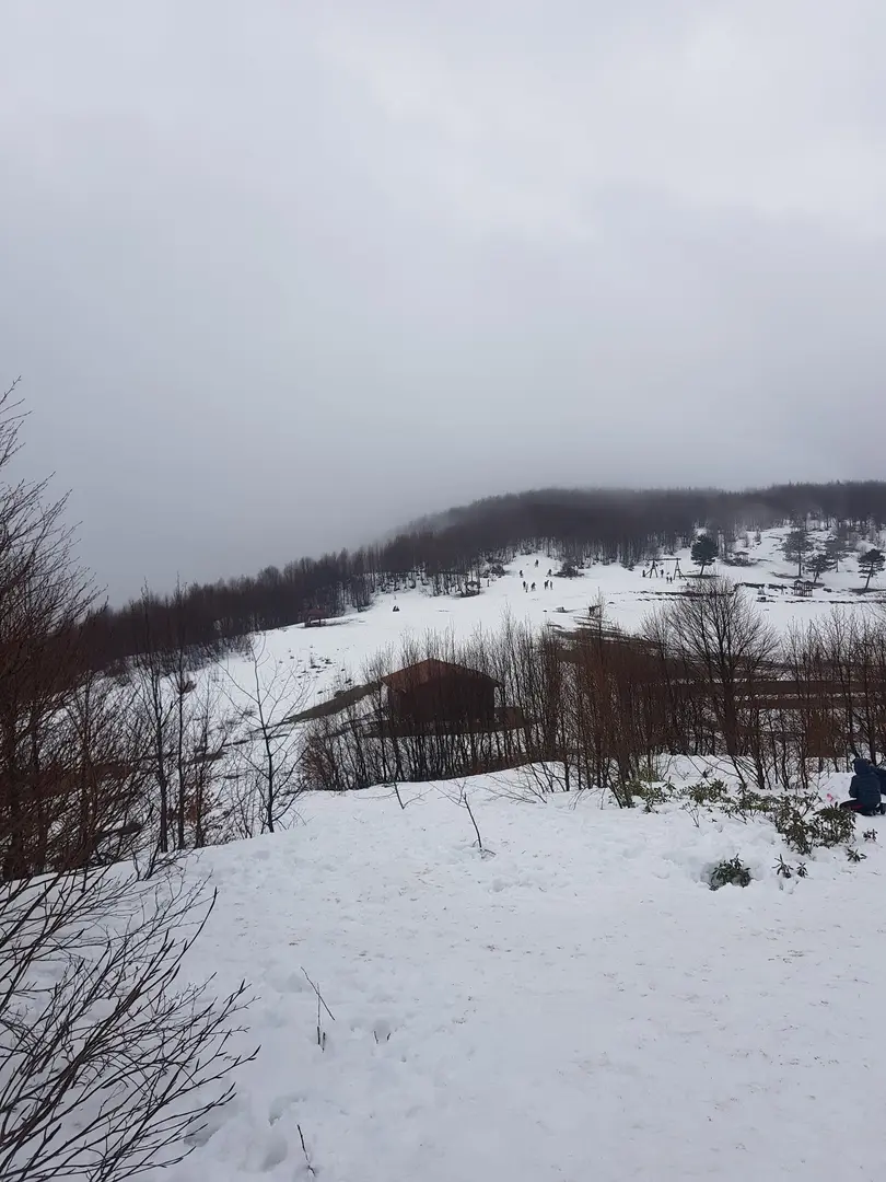 Suadiye Tabiat Parkı — Kocaeli — küçük resim 9