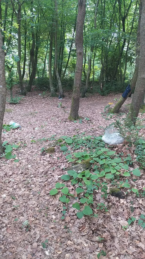 Camping Kerpe Gebeş — Kocaeli — küçük resim 4