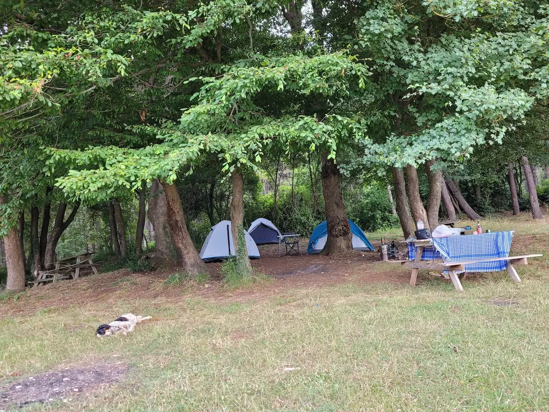 Camping Kerpe Gebeş — Kocaeli — küçük resim 5