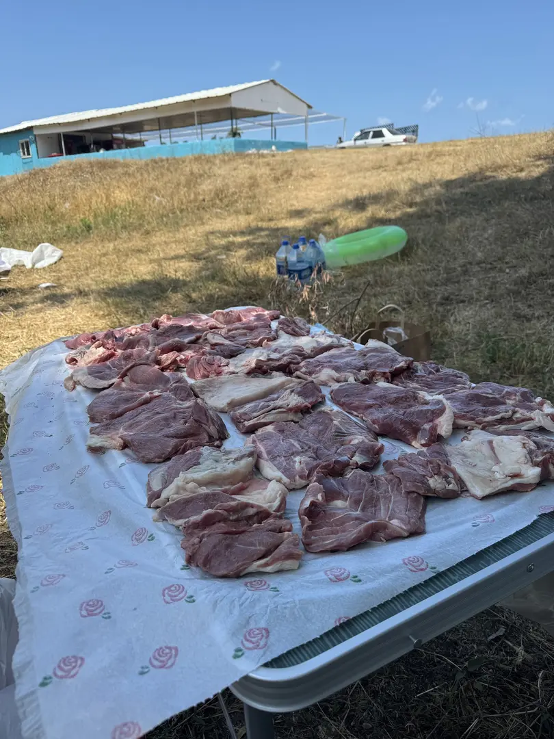 Dağdibi Tent Camp — Kocaeli — küçük resim 9