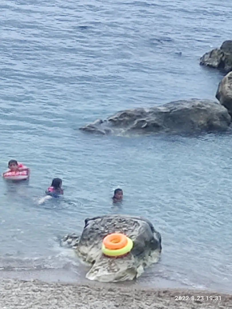 Bollu Koyu Kanılcak Koyu — Kocaeli — küçük resim 10