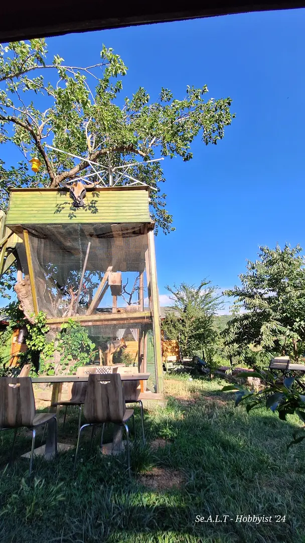 Nightstar Bungalov İzmit — Kocaeli — küçük resim 3