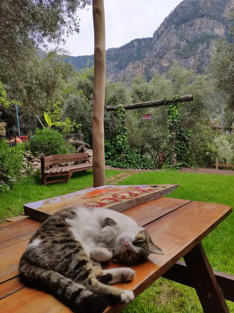 Yerdeniz Kamp — Muğla — küçük resim 4