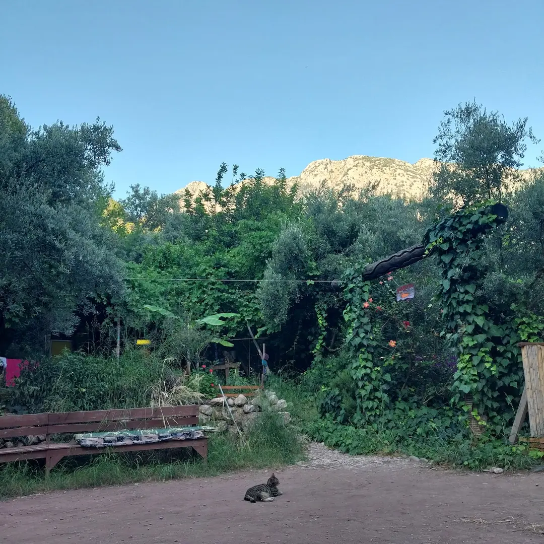 Yerdeniz Kamp — Muğla — küçük resim 9