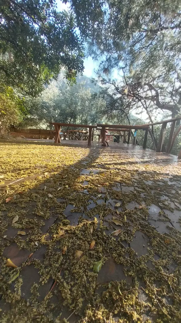 Yerdeniz Kamp — Muğla — küçük resim 5