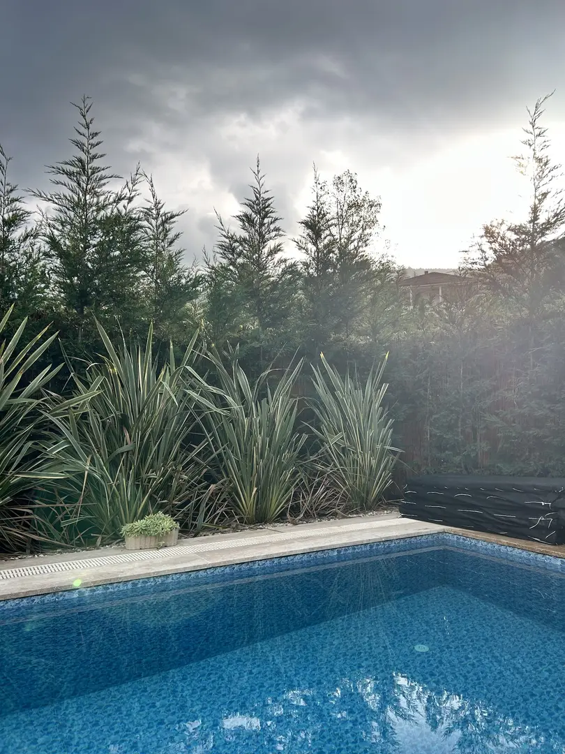 Teona Kartepe Bungalov — Kocaeli — küçük resim 3