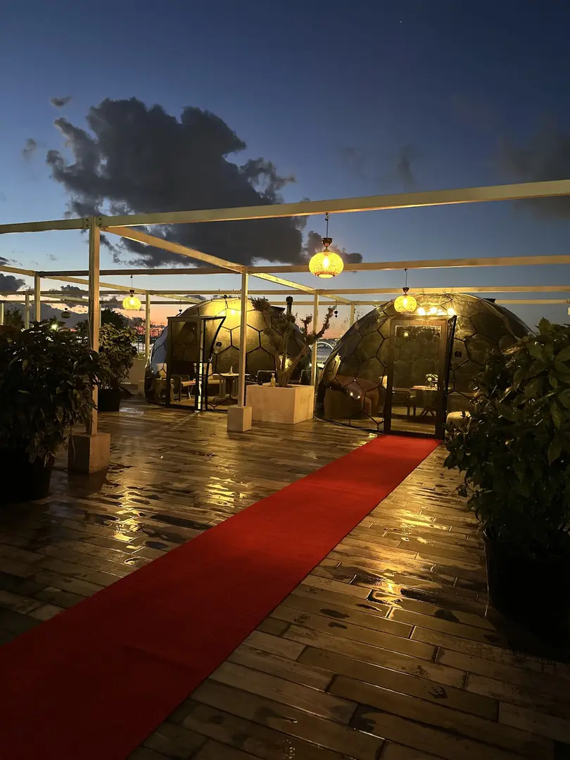Cozy Dome - Transparent Dome Glamping — Kocaeli — küçük resim 6