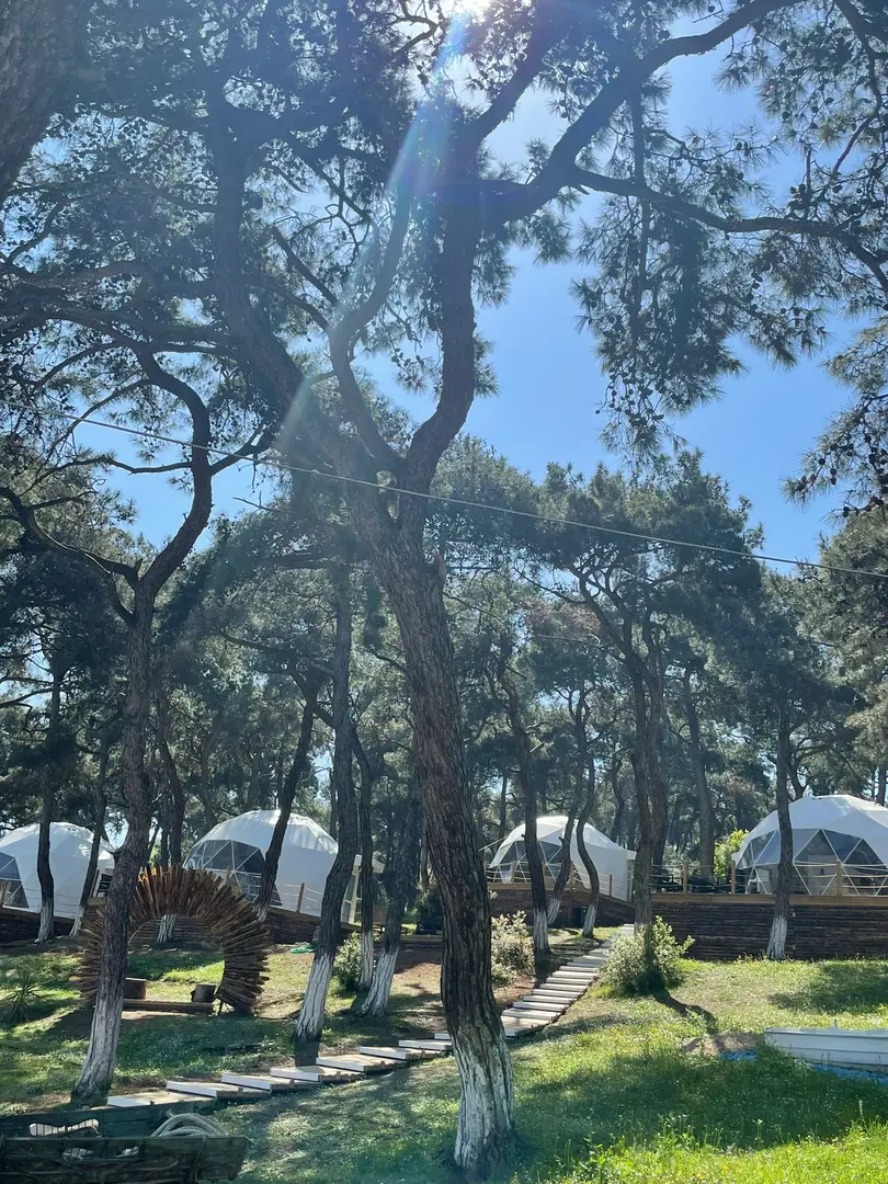 Büyükada glamping — İstanbul — küçük resim 5