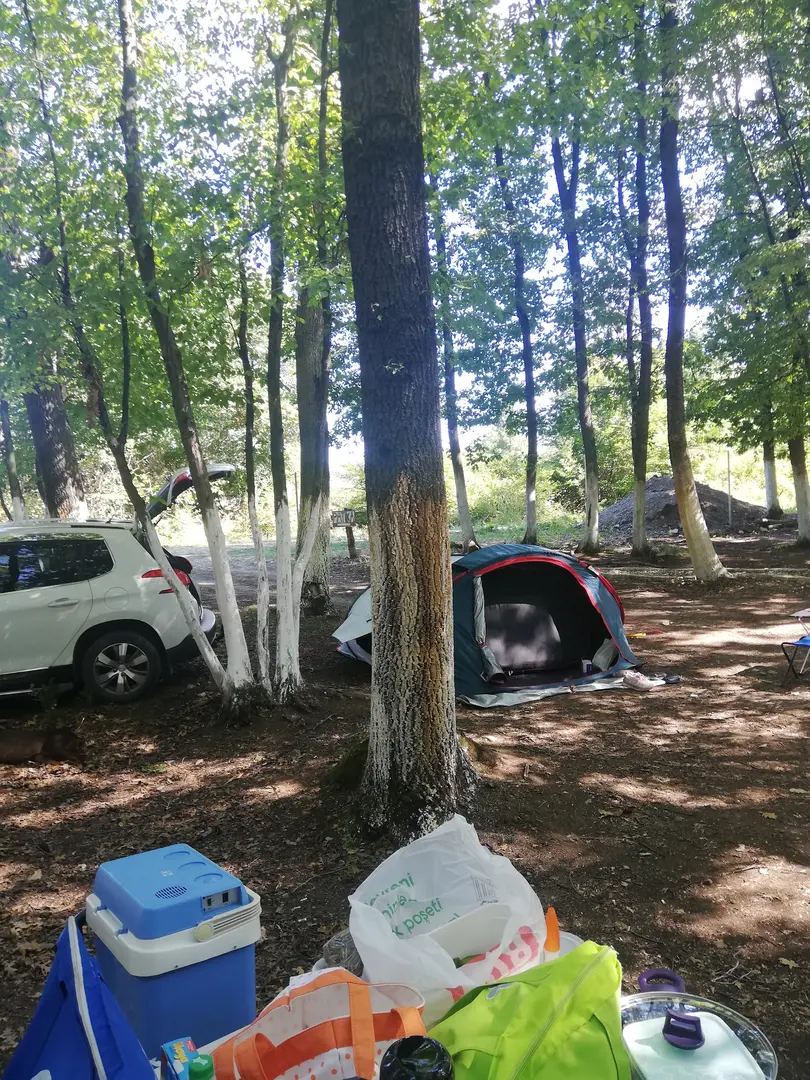 Patika Camping Kartepe — Kocaeli — küçük resim 7