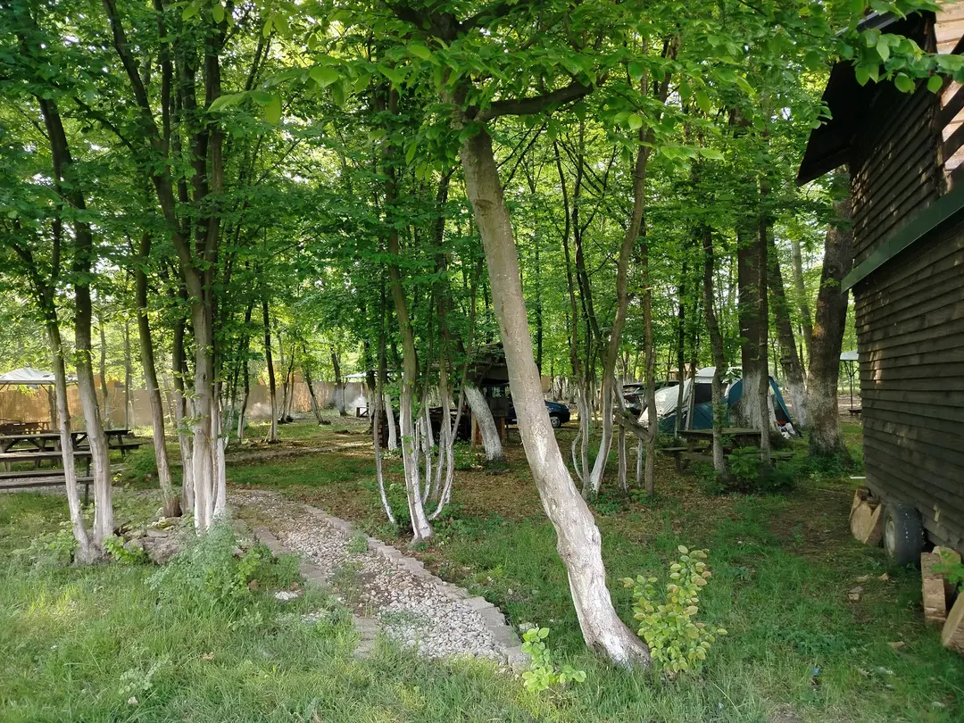 Patika Camping Kartepe — Kocaeli — küçük resim 6