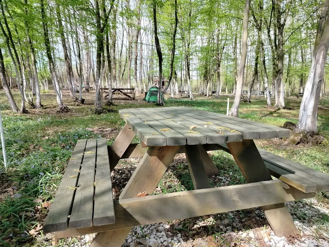 Patika Camping Kartepe — Kocaeli — küçük resim 2