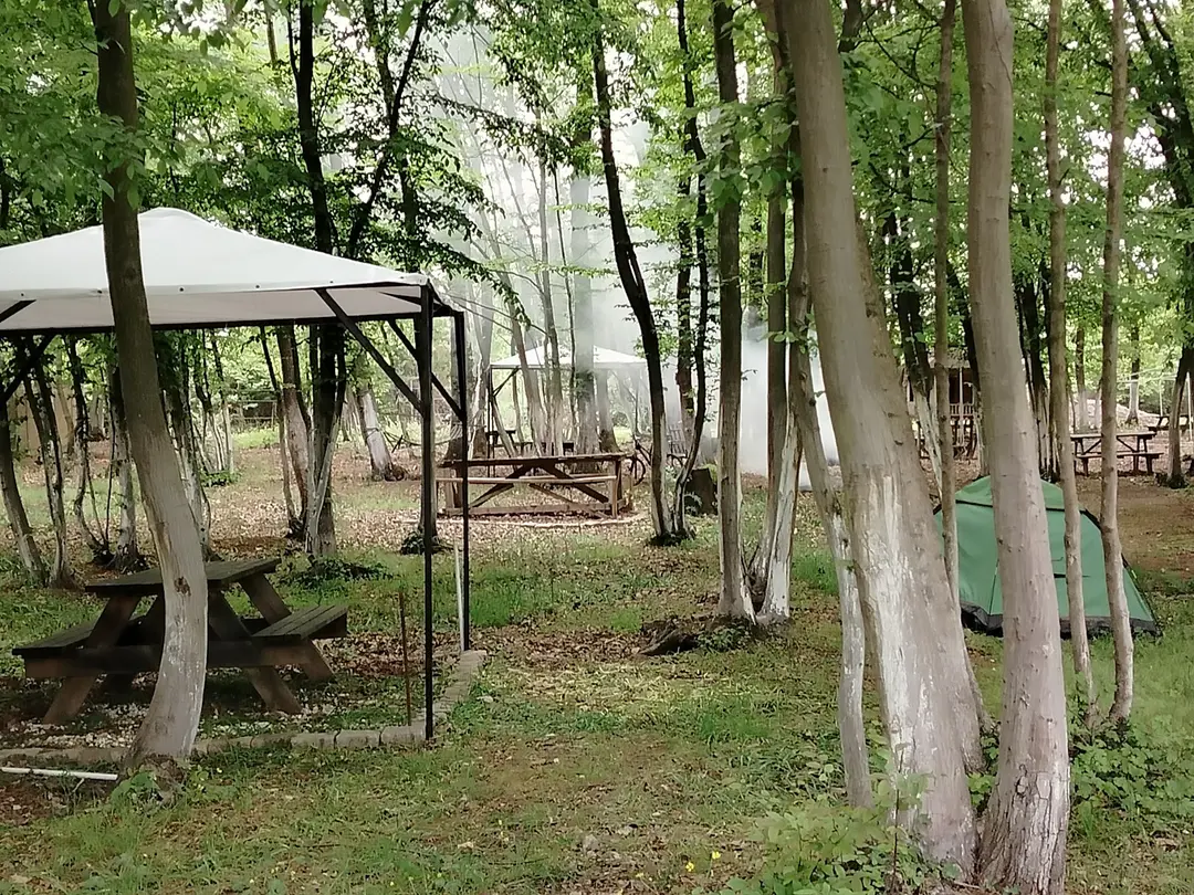 Patika Camping Kartepe — Kocaeli — küçük resim 5