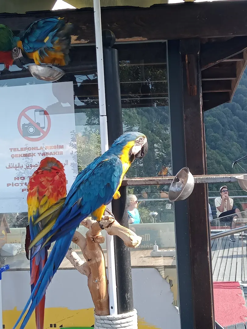 Vadi Kamping — Kocaeli — küçük resim 9