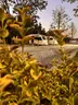 Onyx camping sapanca