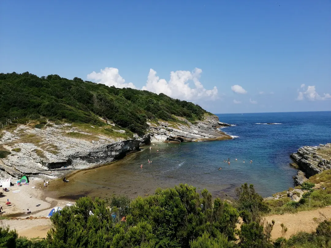 sardala camping area — Kocaeli — küçük resim 3