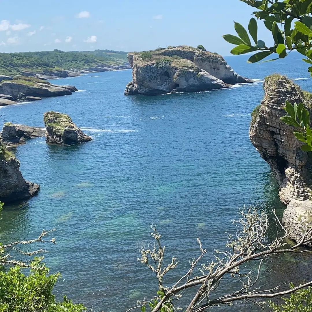 sardala camping area — Kocaeli — küçük resim 8