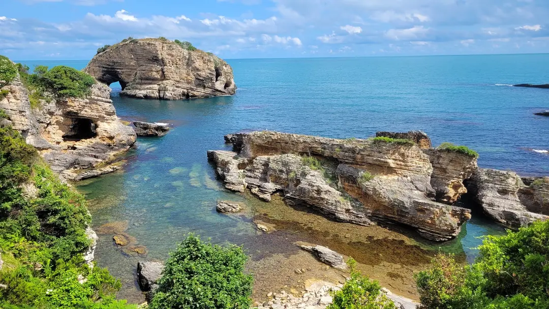 sardala camping area — Kocaeli — küçük resim 5