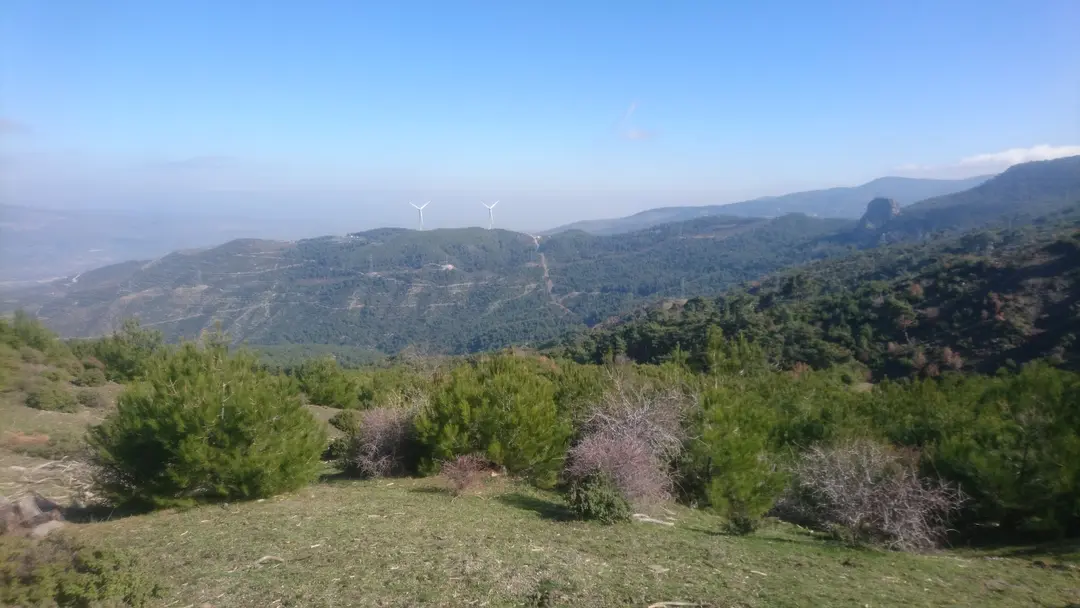 Yamanlardağı Tabiat Parkı — İzmir — küçük resim 8
