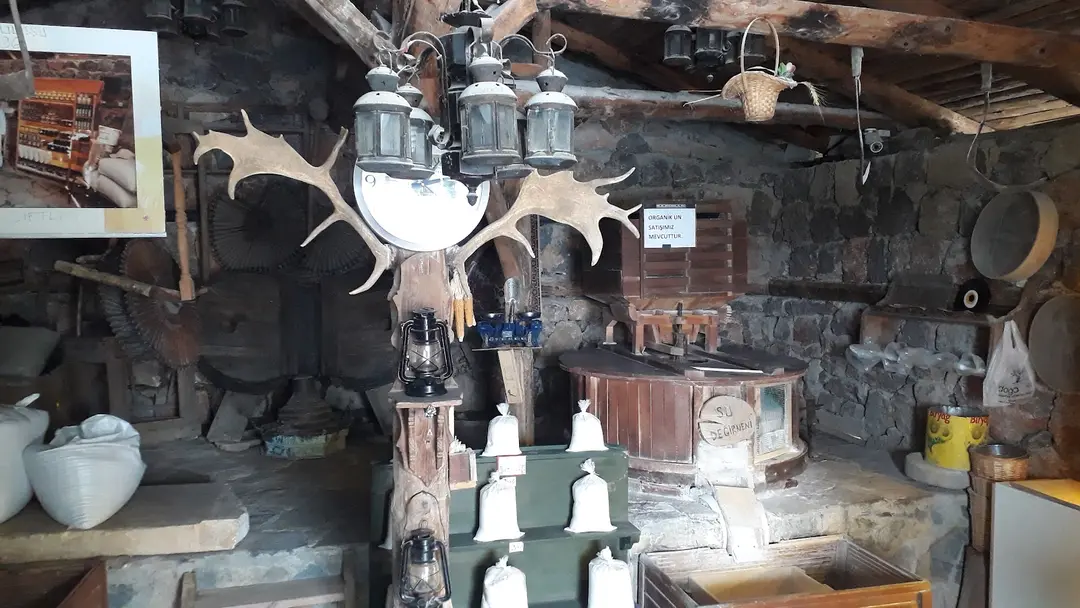 Doğa Çiftlik — Kocaeli — küçük resim 6