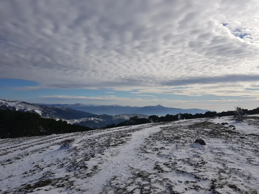 Süreyya Tabiat Parkı — Manisa — küçük resim 10