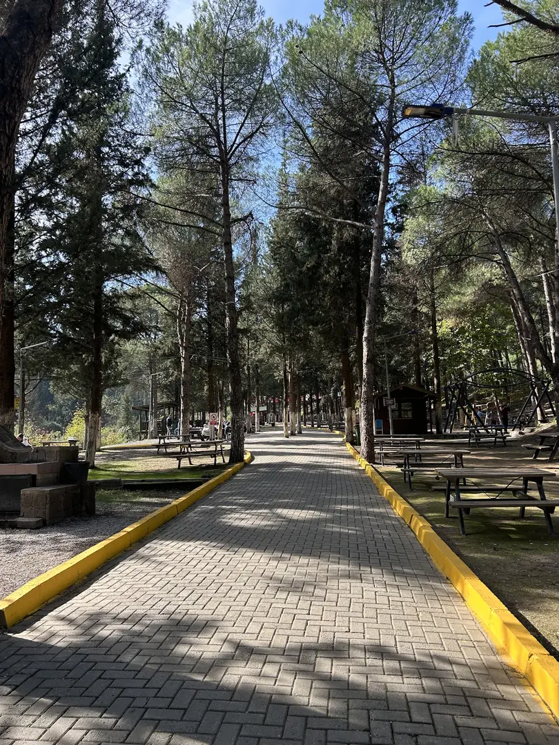 Süreyya Tabiat Parkı — Manisa — küçük resim 6