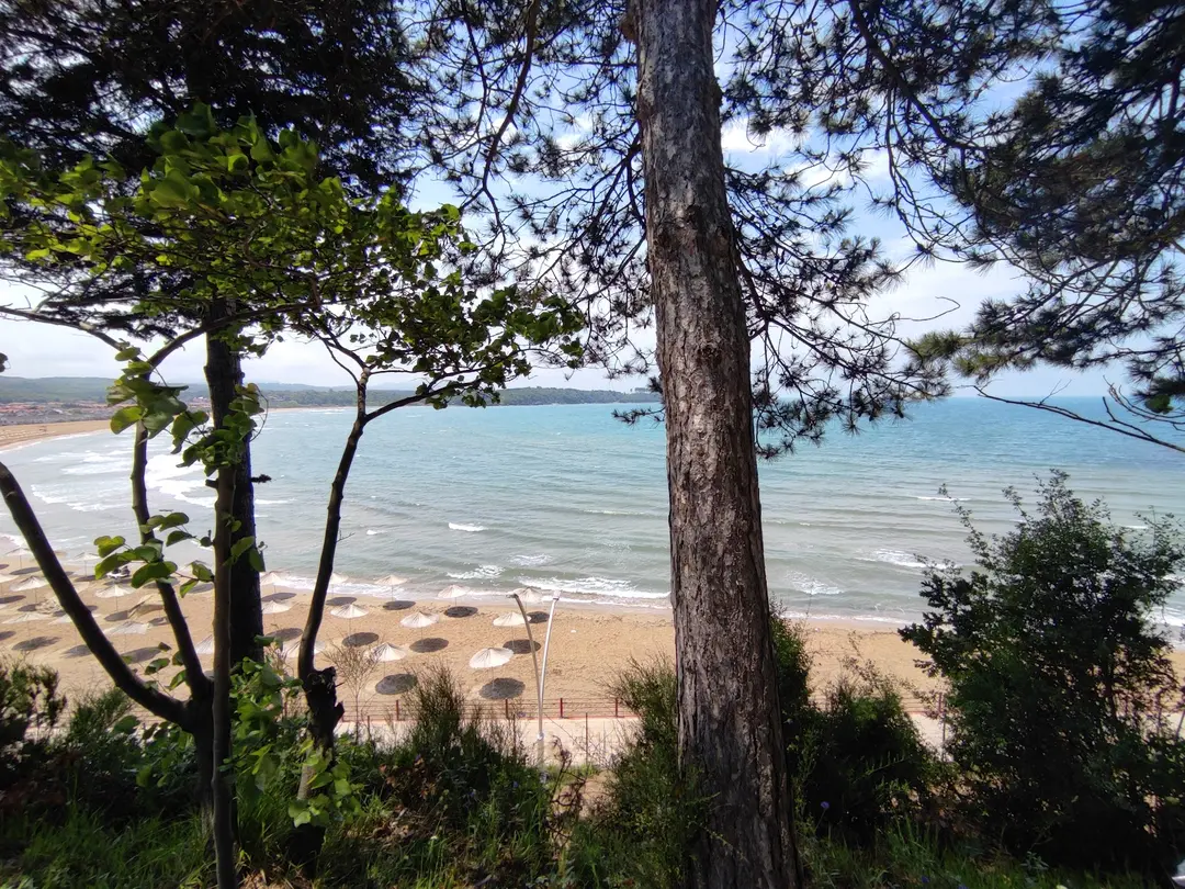 Beyoğlu Municipality Forest Camp — Kocaeli — küçük resim 3