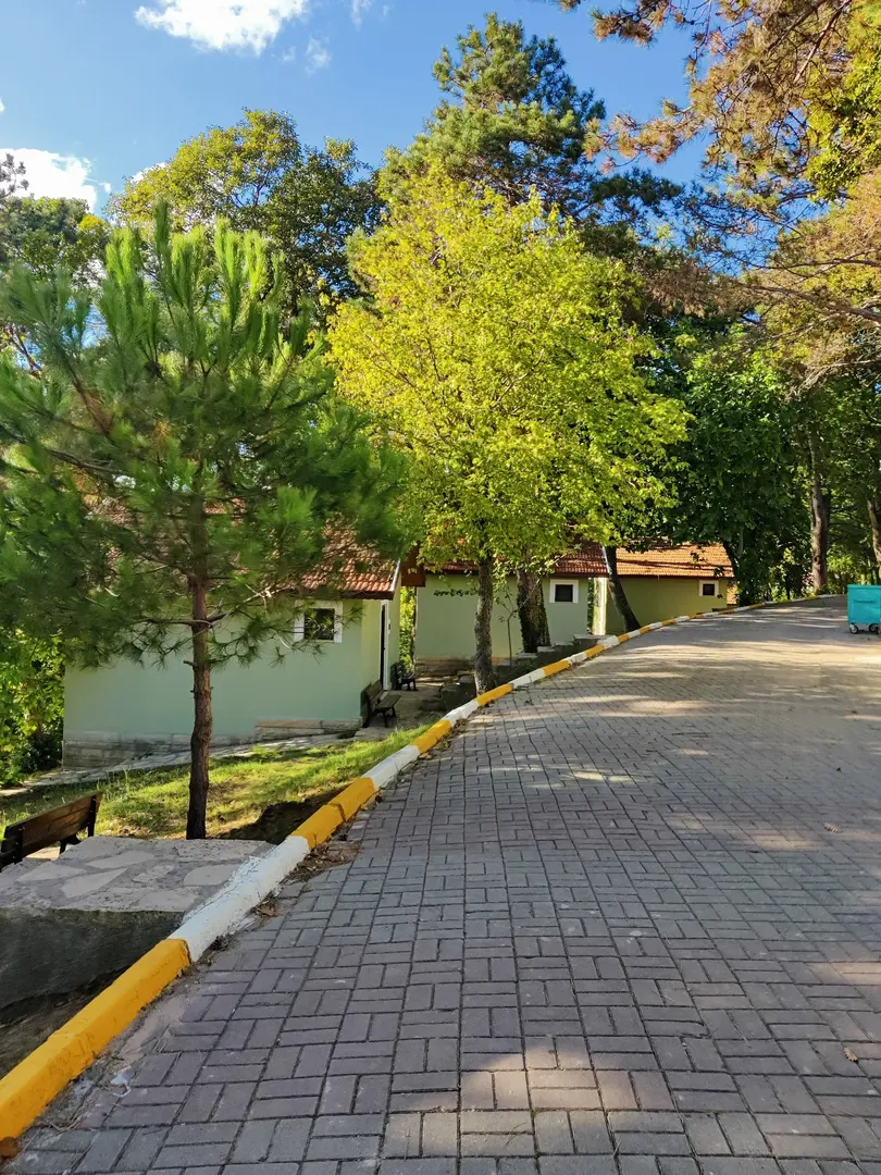 Beyoğlu Municipality Forest Camp — Kocaeli — küçük resim 5