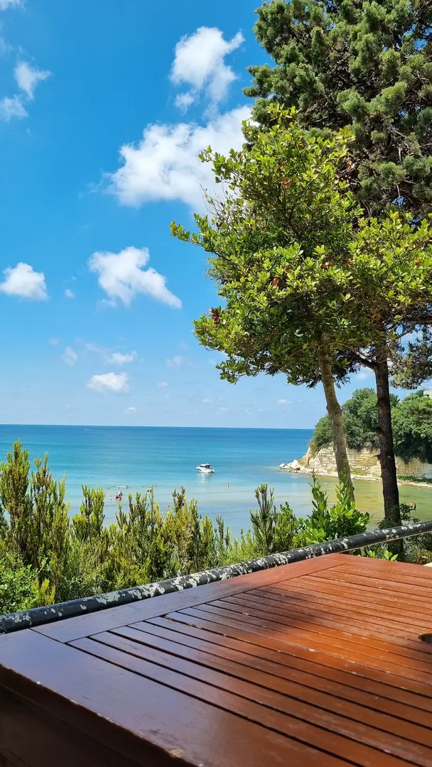 Beyoğlu Municipality Forest Camp — Kocaeli — küçük resim 7