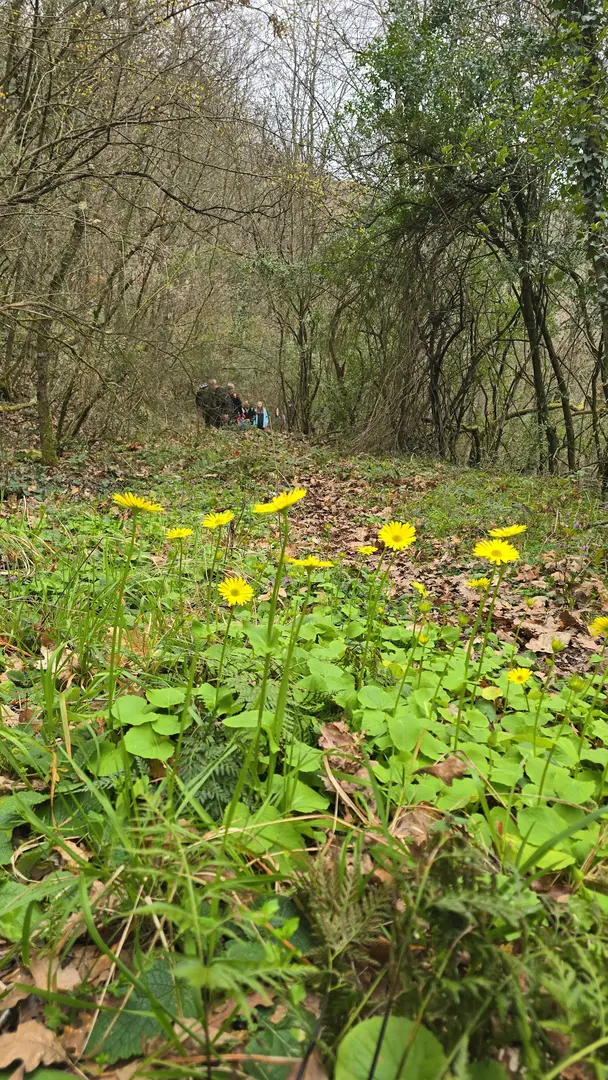Paşasuyu Natural Life Valley — Kocaeli — küçük resim 5