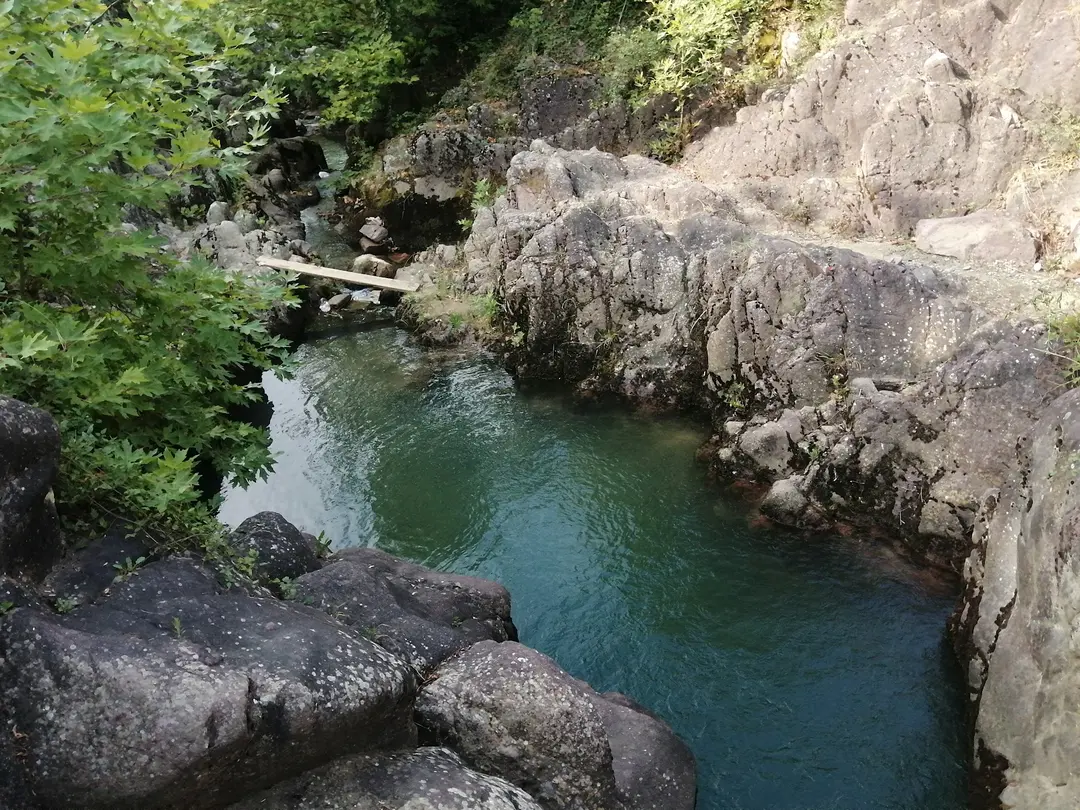 Paşasuyu Natural Life Valley — Kocaeli — küçük resim 2